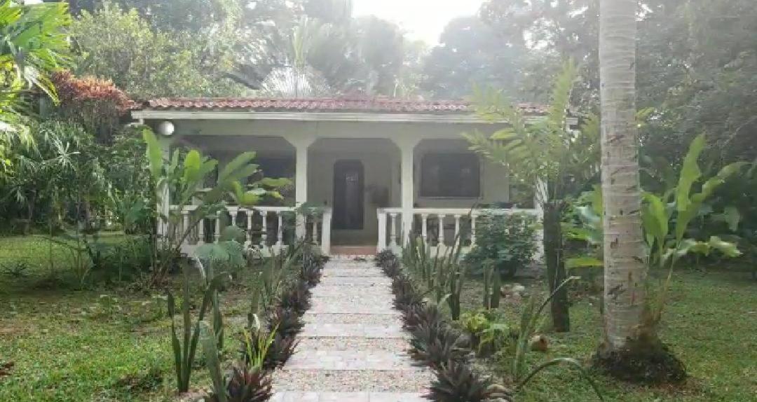 Hostal Cecilia Puerto Viejo de Talamanca 外观 照片