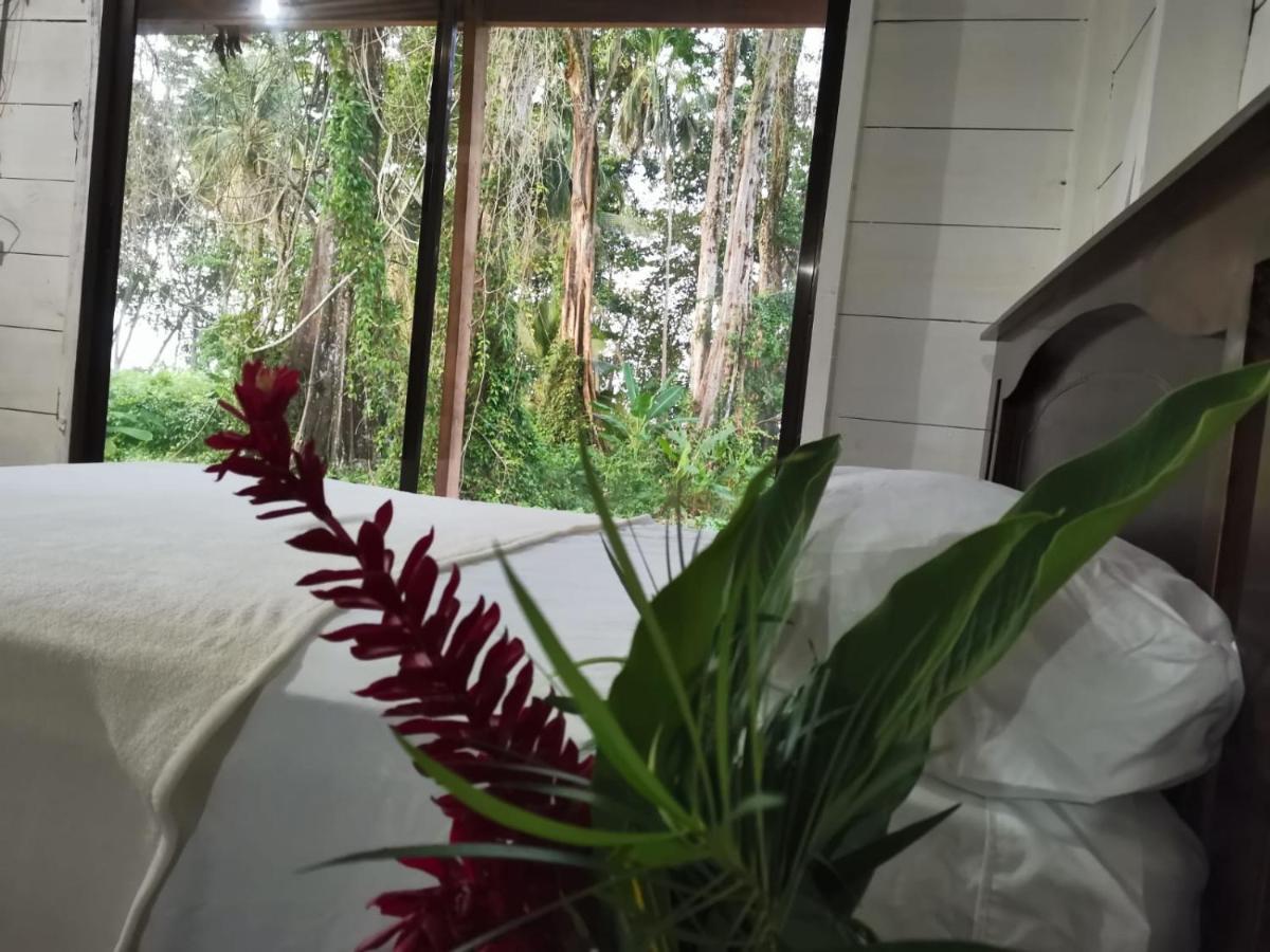 Hostal Cecilia Puerto Viejo de Talamanca 外观 照片