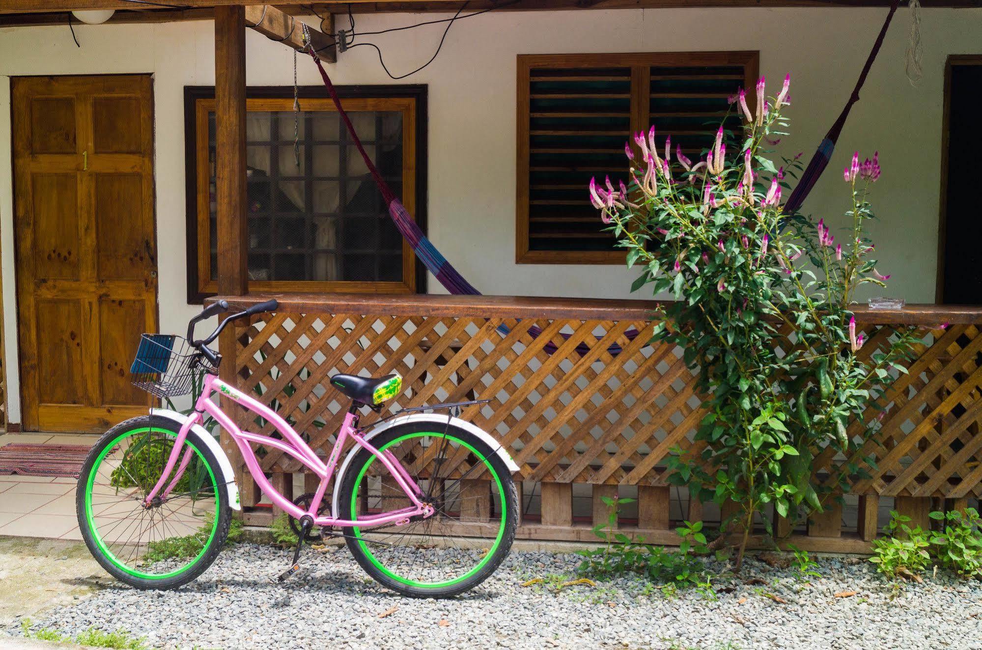 Hostal Cecilia Puerto Viejo de Talamanca 外观 照片
