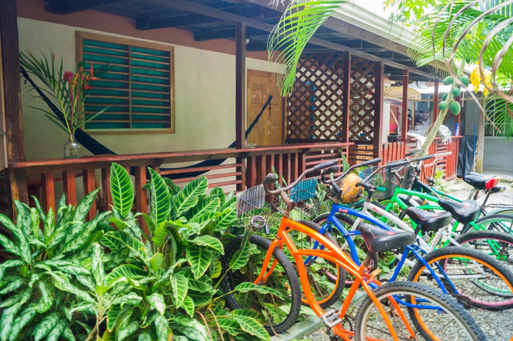 Hostal Cecilia Puerto Viejo de Talamanca 外观 照片