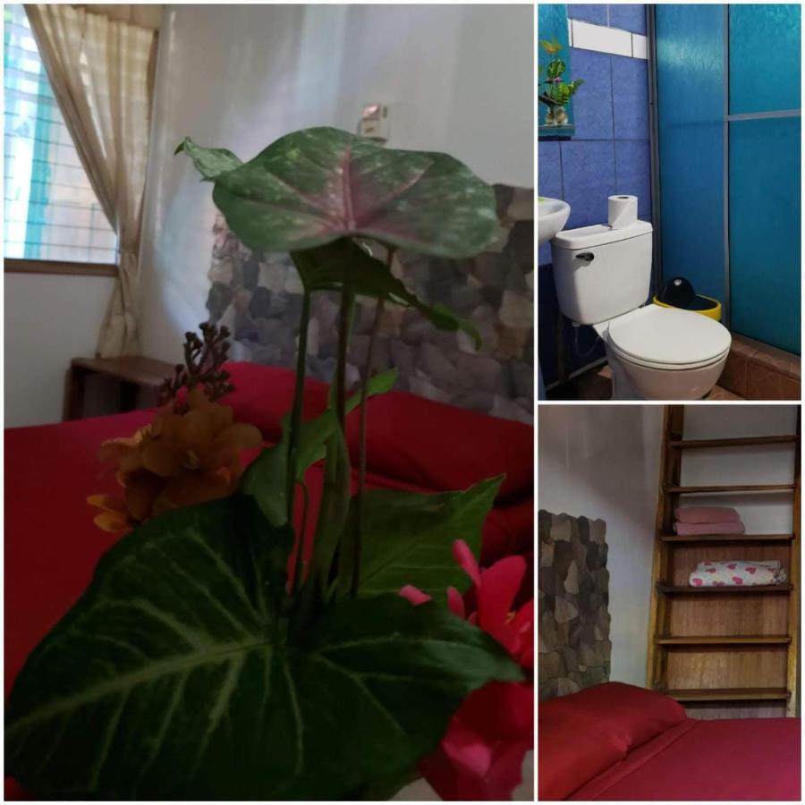 Hostal Cecilia Puerto Viejo de Talamanca 外观 照片